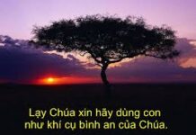 Khí cụ bình an