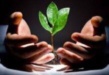 Tuổi teen Việt bước vào đấu trường quốc tế