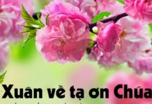 Lời nguyện tín hữu – Lễ Tạ Ơn Cuối Năm (Tất Niên)