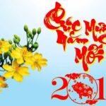 Tết đến nói chuyện về Tết Nguyên Đán