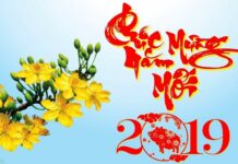 Tết đến nói chuyện về Tết Nguyên Đán