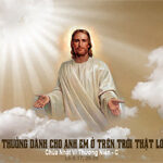 Lời nguyện tín hữu – Chúa Nhật 6 Thường niên_C