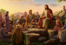 Các bài suy niệm Chúa Nhật 6 Thường niên Năm C