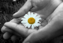 Hạnh phúc khi biết chia sẻ