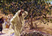 Lời nguyện tín hữu – Chúa Nhật 3 Mùa Chay_C