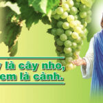 Chúa Giêsu nguồn mạch sự sống