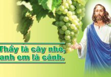 Chúa Giêsu nguồn mạch sự sống