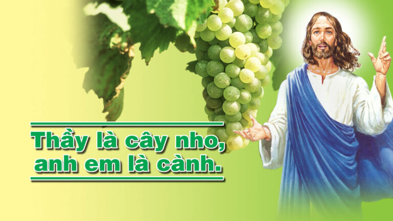Chúa Giêsu nguồn mạch sự sống