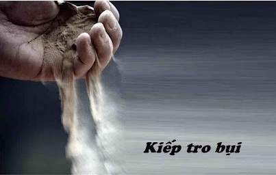 Bụi Tro