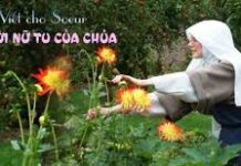 Đi tu là liều lĩnh