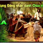 Lời nguyện tín hữu – Chúa Nhật Lễ Lá_C