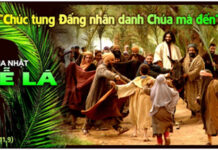 Lời nguyện tín hữu – Chúa Nhật Lễ Lá_C