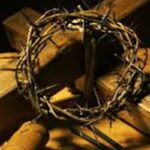 Chuyện một cây gỗ!