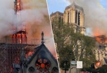 Paris có gì lạ không em?