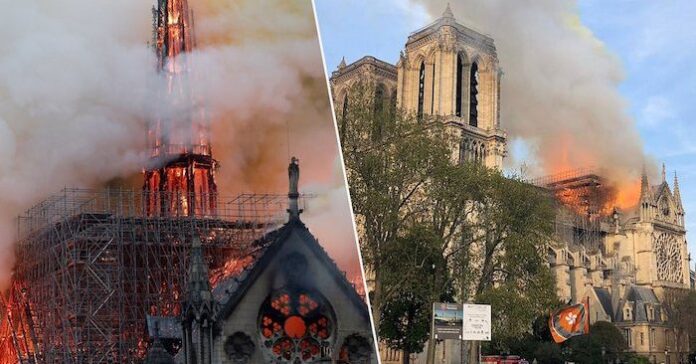 notre0101-700x366