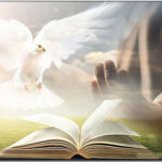 Suy niệm chung Tháng 07/2024 – Cần Bám Chặt Vào Lời Chúa Trong Thời Hiện Đại