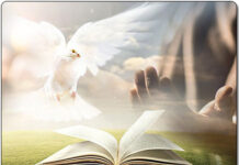 Suy niệm chung Tháng 07/2024 – Cần Bám Chặt Vào Lời Chúa Trong Thời Hiện Đại