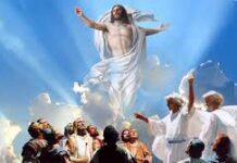 Các bài suy niệm Chúa Nhật Chúa Thăng Thiên Năm C