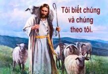 Các bài suy niệm Chúa Nhật 4 Phục Sinh Năm C (Chúa Nhật Chúa Chiên Lành)