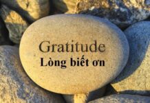 Xin biết ơn những người thầy