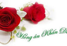 Những tâm tình thiết yếu để mừng Kim khánh , Ngân khánh