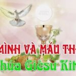 Lời nguyện tín hữu – Lễ Mình Máu Thánh Chúa_C
