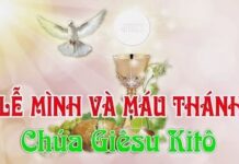 Lời nguyện tín hữu – Lễ Mình Máu Thánh Chúa_C