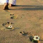 Ước Mơ “Khác Người”