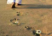 Ước Mơ “Khác Người”