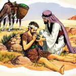 Các bài suy niệm Chúa Nhật 15 Thường niên Năm C