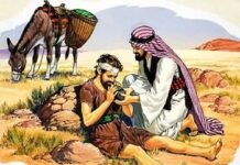 Các bài suy niệm Chúa Nhật 15 Thường niên Năm C