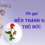 Hành trình ơn gọi
