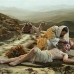 Lời nguyện tín hữu – Chúa Nhật 15 Thường niên_C