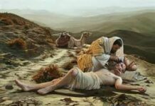 Lời nguyện tín hữu – Chúa Nhật 15 Thường niên_C