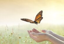 Lên đường với Chúa