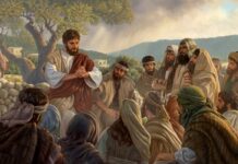 Các bài suy niệm Chúa Nhật 21 Thường niên_C