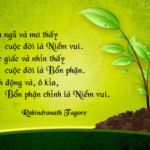 Hành trình trưởng thành