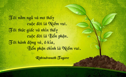 danh-ngon-tieng-anh-ve-niem-vui 1