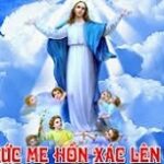 Con muốn theo Mẹ lên trời