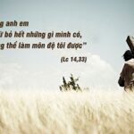 Các bài suy niệm Chúa Nhật 23 Thường niên _C