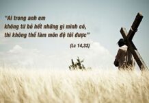 Các bài suy niệm Chúa Nhật 23 Thường niên _C