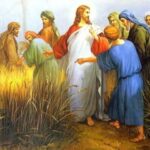 Điều không được phép làm (Thứ Bảy Tuần 22 Thường niên)