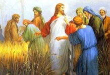 Điều không được phép làm (Thứ Bảy Tuần 22 Thường niên)