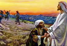 Lời nguyện tín hữu – Chúa Nhật 28 Thường Niên_C