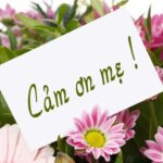 Bức thư từ biệt của cụ bà 96 tuổi gây xúc động mạng xã hội