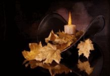 Tháng mười một… Nhớ lời mẹ dặn