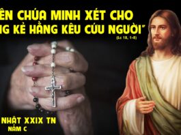 Các bài suy niệm Chúa Nhật 29 Thường niên_ C