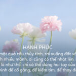 Hạnh phúc là…
