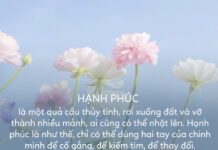 Hạnh phúc là…