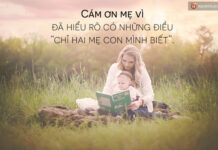 Mẹ đã tặng Chúa những đứa con